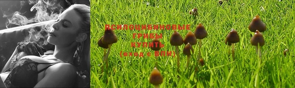 герыч Володарск